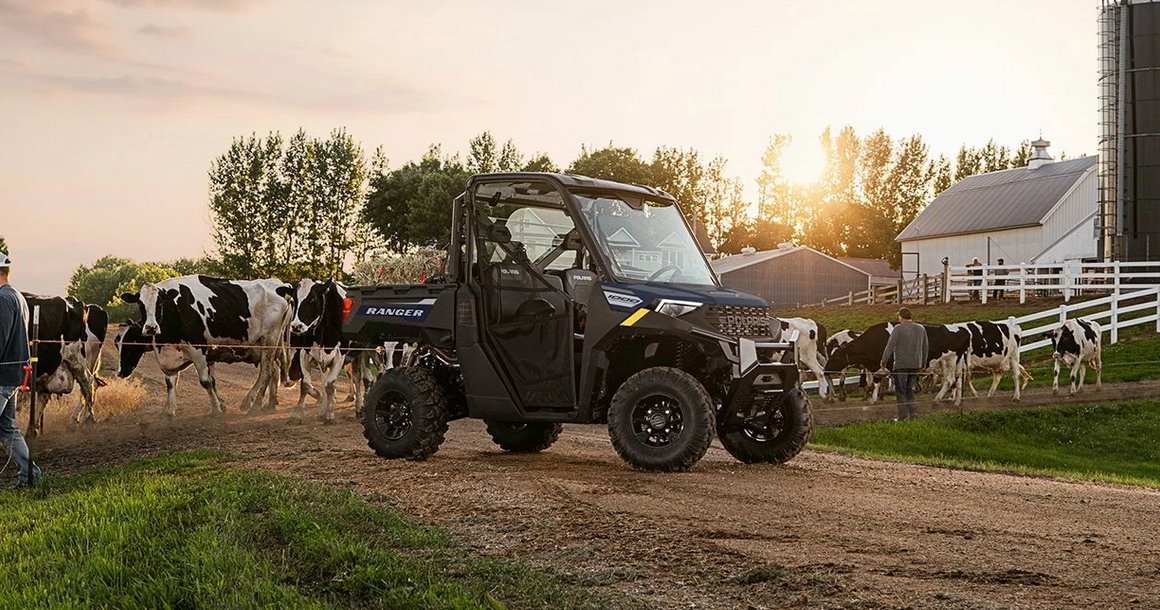Polaris Ranger UTV on a farm with cows and barns at sunset, showcasing popular UTVs in 2023 for ranch and farm use