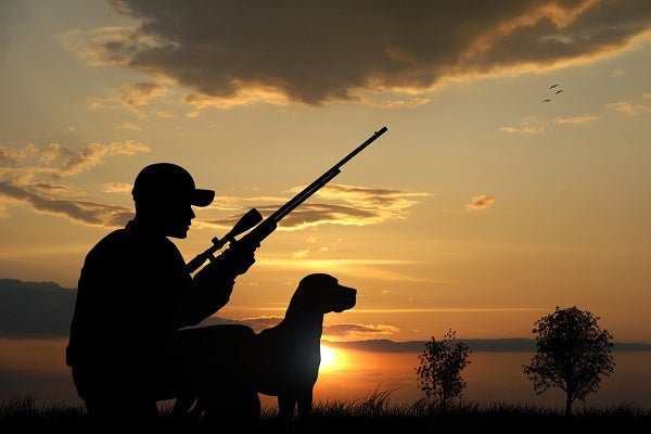 Silhouette of hunter with rifle and dog in sunset landscape for best UTV for hunting