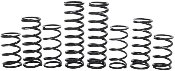 Zbroz Dual Rate Spring Kit