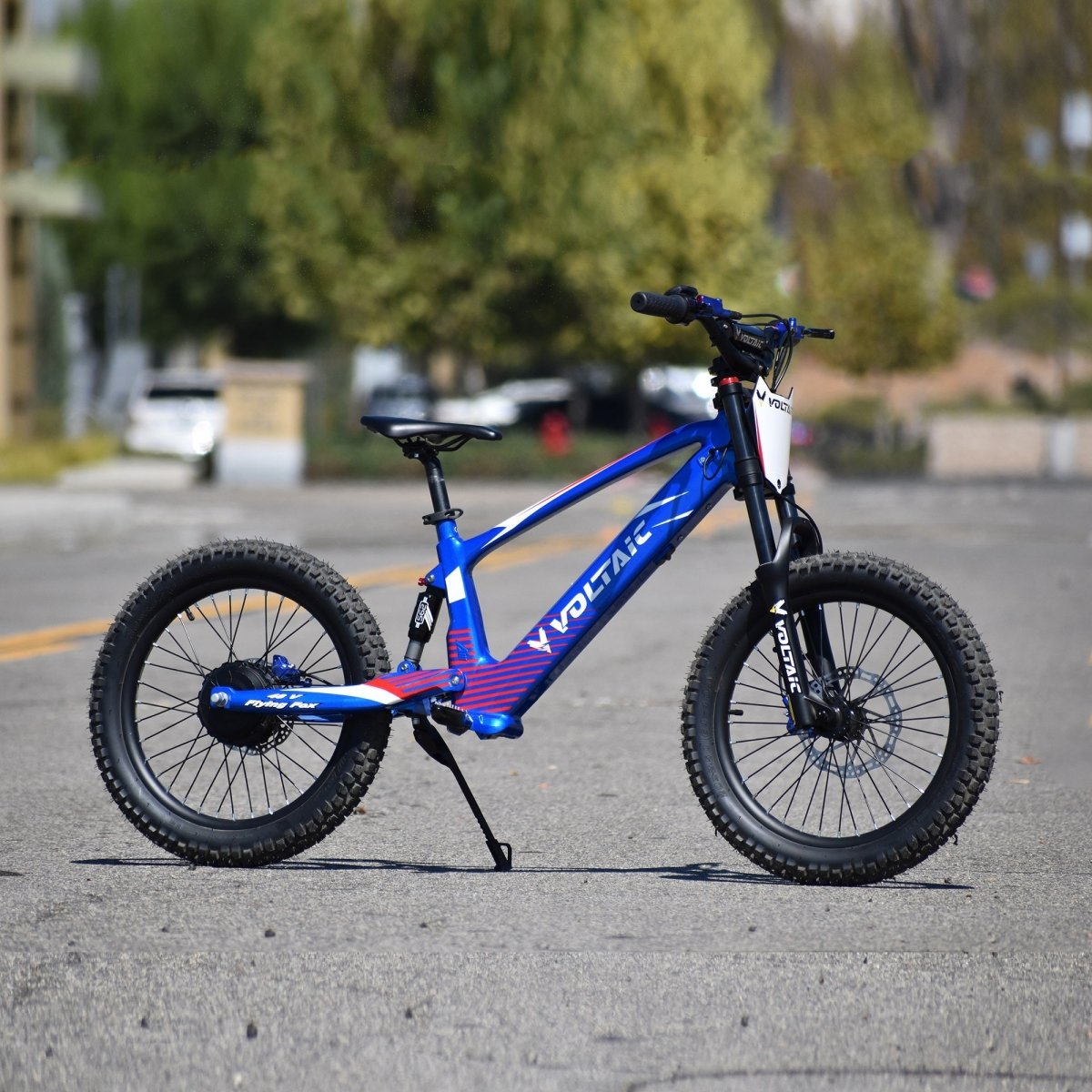 Voltaic Youth Electric Dirt Bike 20'' Flying Fox 48V - Rad UTV Parts