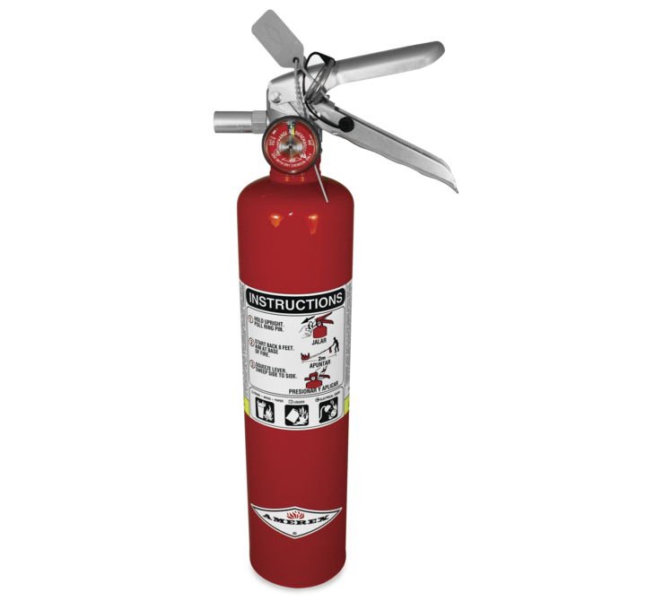 DragonFire Racing Fire Extinguisher Red, 2.5 lbs. - Rad Parts