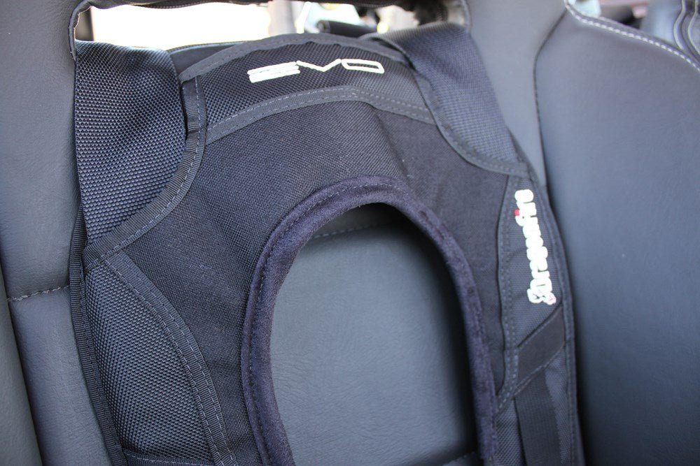 Evo UTV Harness by DragonFire Racing 14-0040 - Rad Parts