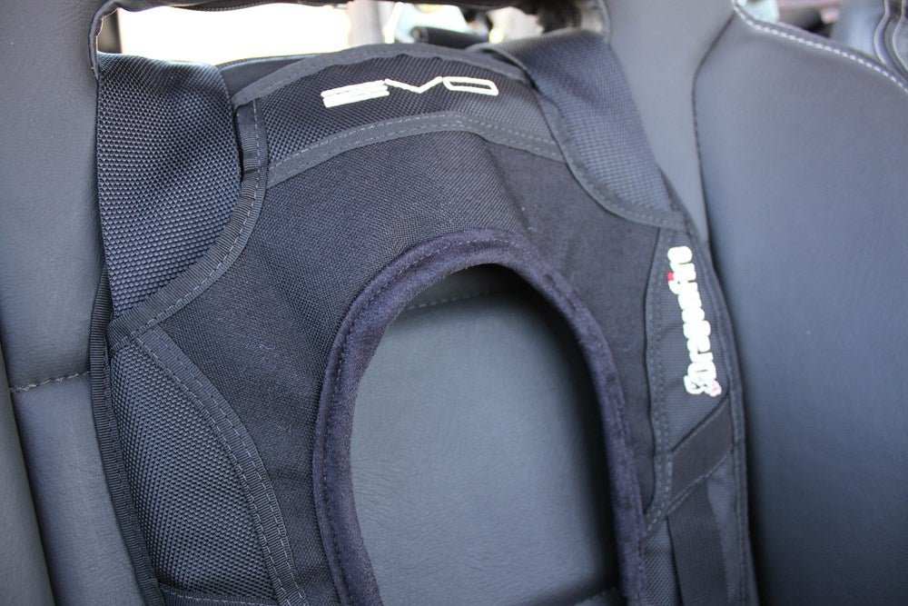 Evo UTV Harness by DragonFire Racing 14-0040 - Rad Parts