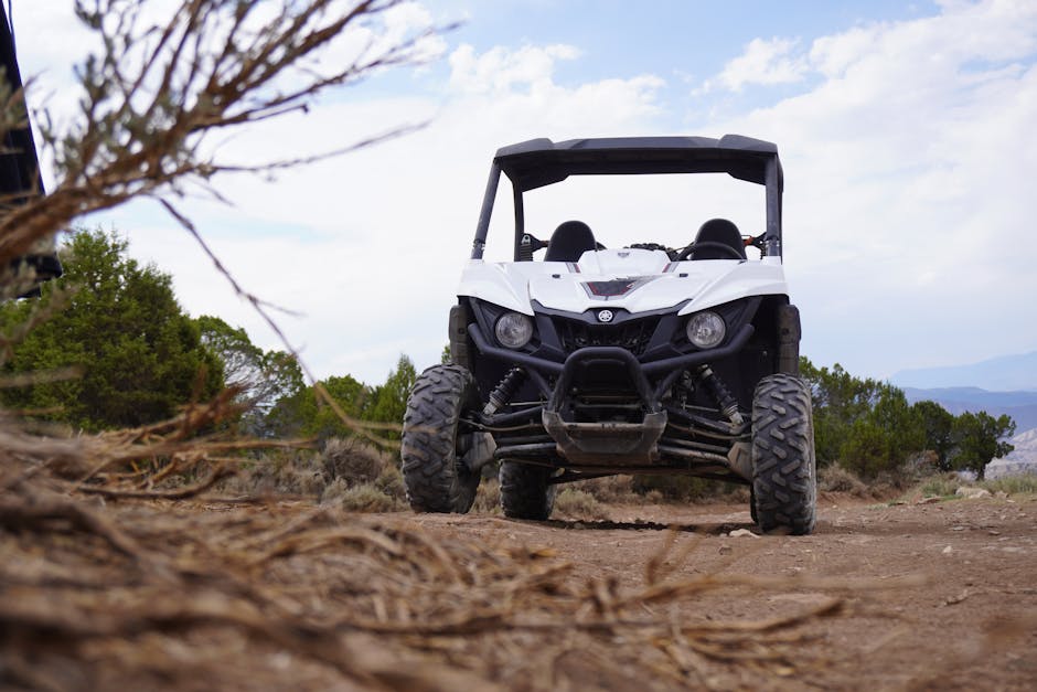 Buyer's Guide: Best 4-Seater UTVs for 2024 - Rad UTV Parts