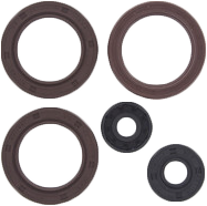 Vertex Engine Oil Seal Kit