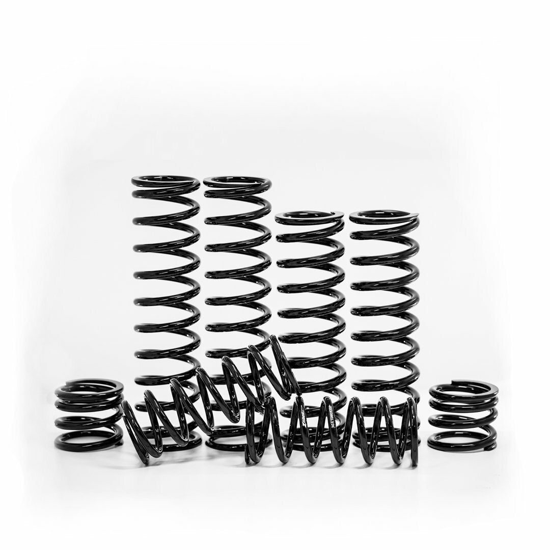 Zbroz Dual Rate Spring Kit