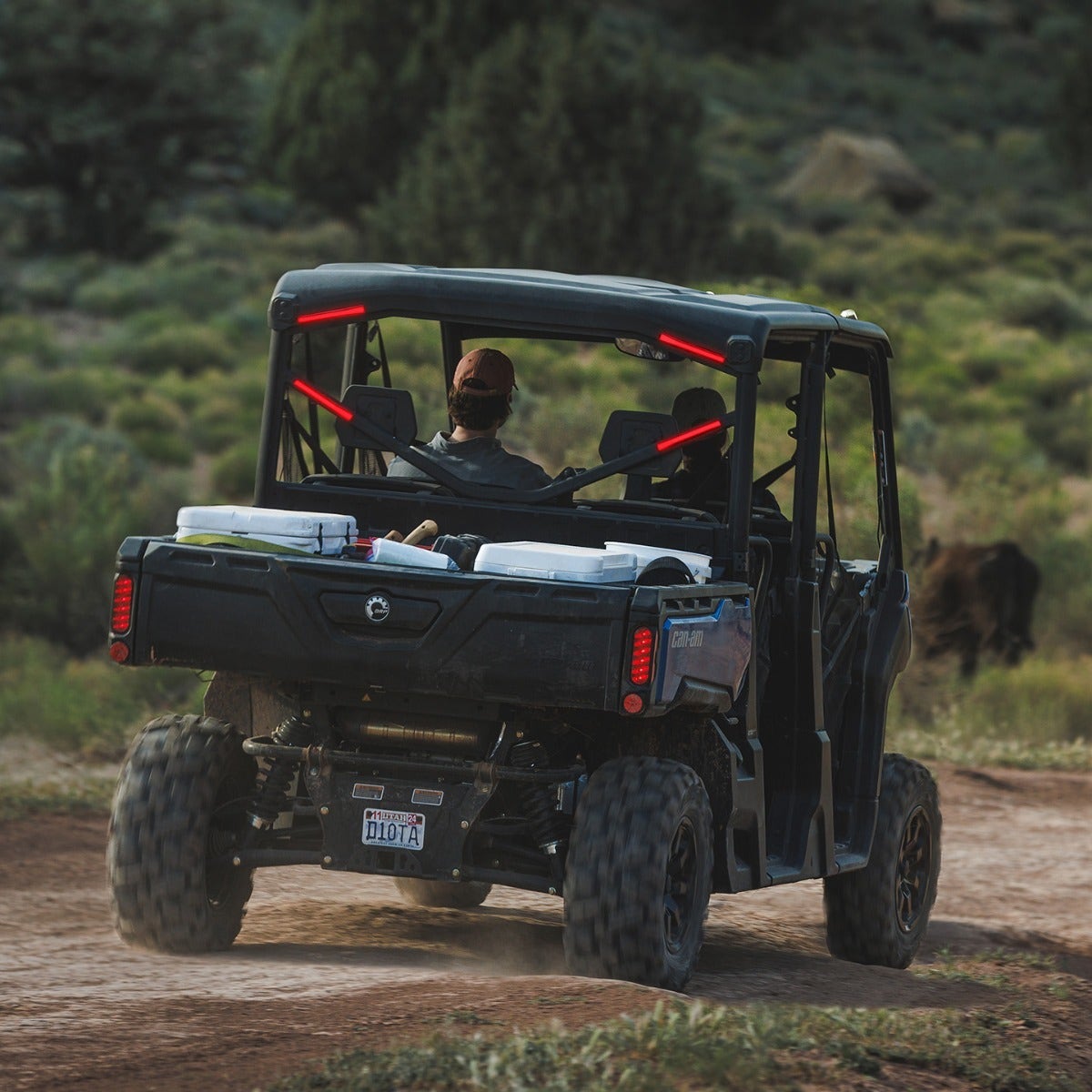 Apex Lights - Red - Defender '19-'25, Maverick Trail/Sport