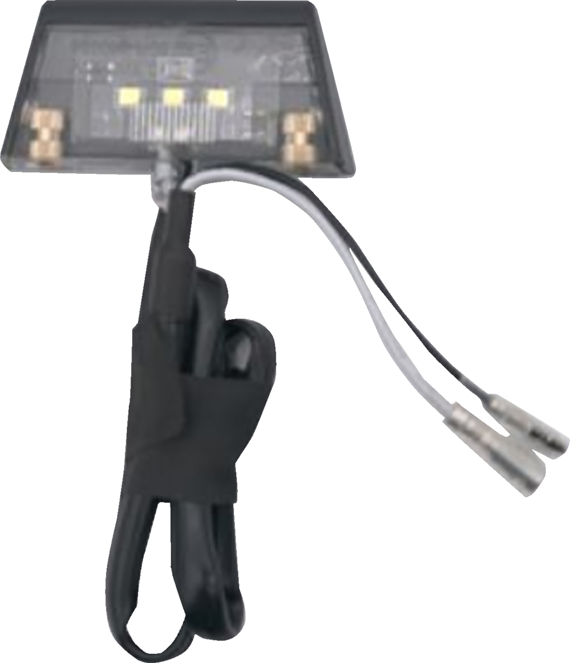 License Plate Light
